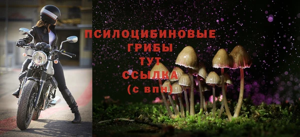 спиды Алексеевка